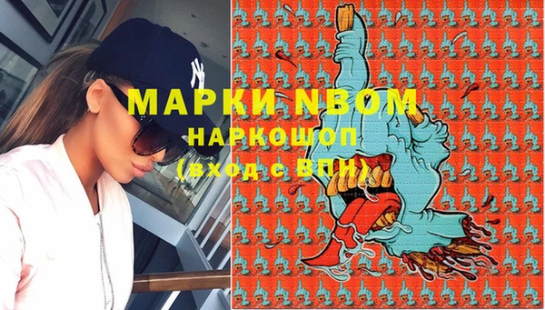бошки Пересвет