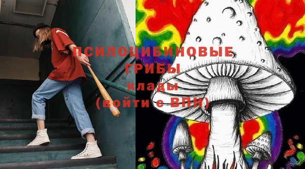 не бодяженный Осинники
