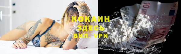 метадон Горняк